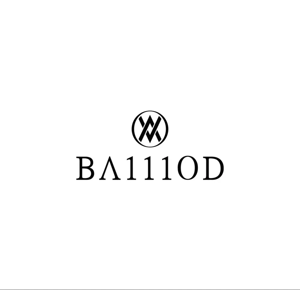 BA111OD — BA110D – Chapitre 6.4 Stella, vue 4