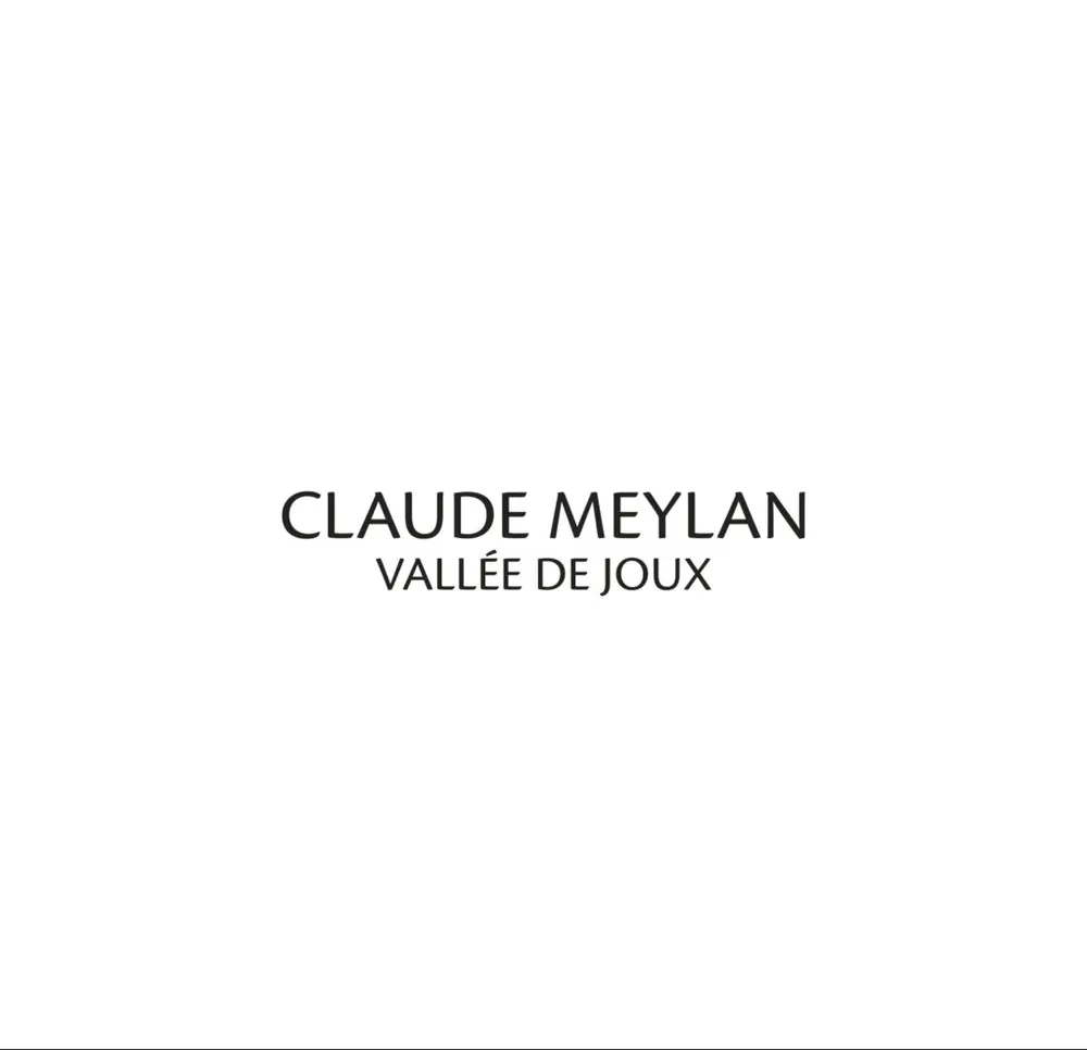 Claude Meylan — Montre Squelette Tortue acier 6047 R, vue 2